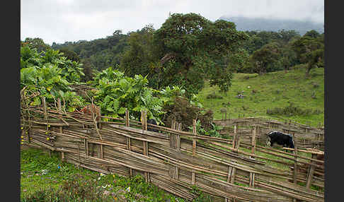 Aethiopien (Ethiopia)