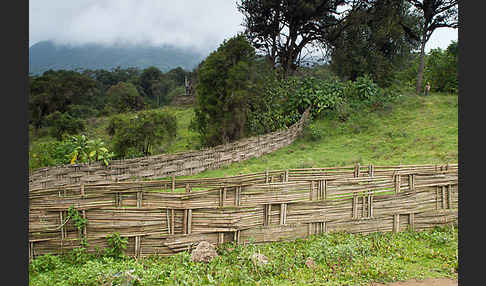 Aethiopien (Ethiopia)