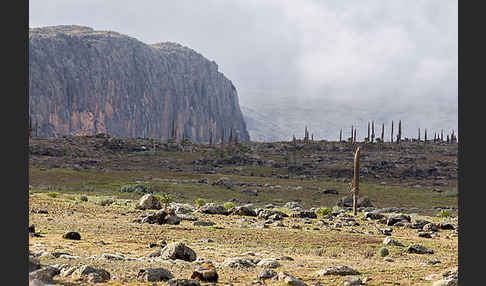 Aethiopien (Ethiopia)