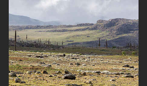 Aethiopien (Ethiopia)