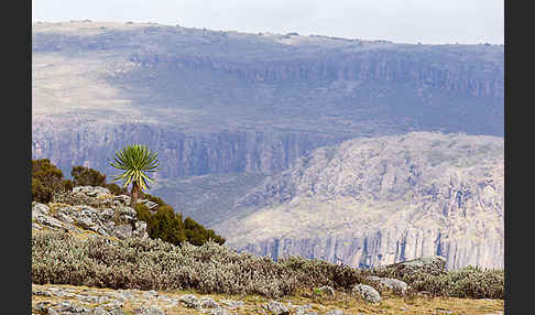 Aethiopien (Ethiopia)