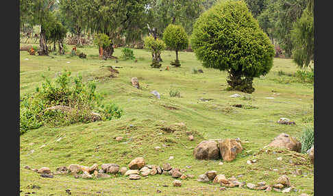 Aethiopien (Ethiopia)