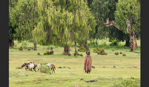 Aethiopien (Ethiopia)