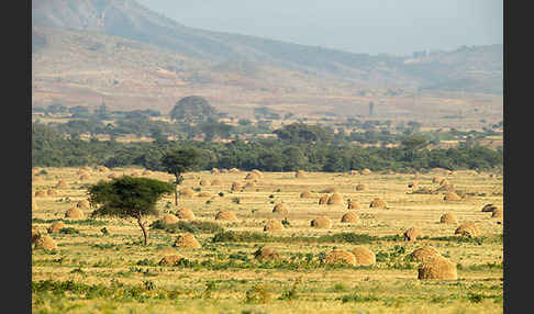 Aethiopien (Ethiopia)