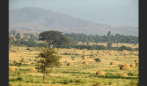 Aethiopien (Ethiopia)