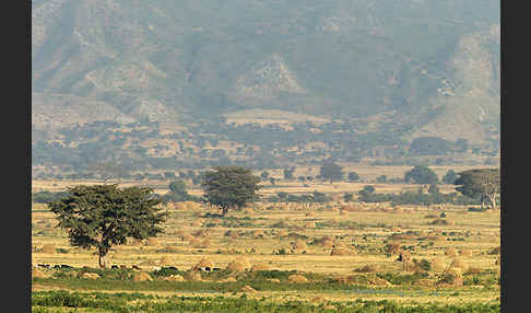 Aethiopien (Ethiopia)