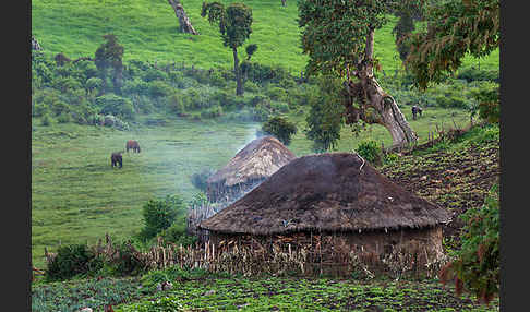 Aethiopien (Ethiopia)