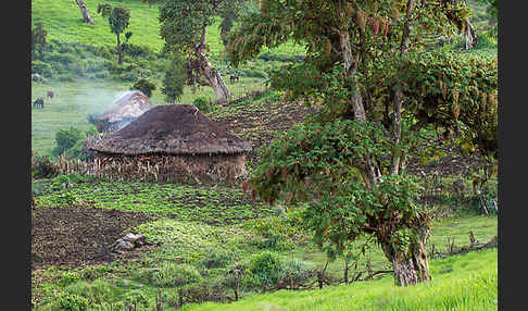 Aethiopien (Ethiopia)