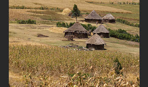 Aethiopien (Ethiopia)