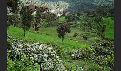 Aethiopien (Ethiopia)