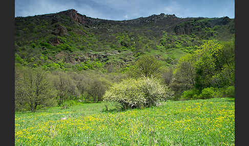 Armenien ()