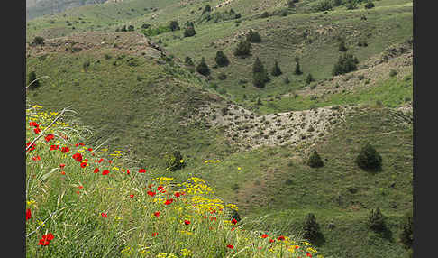Armenien ()