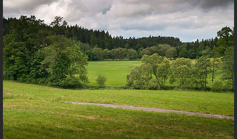 Thüringen (Thuringia)