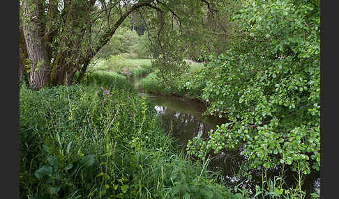 Thüringen (Thuringia)