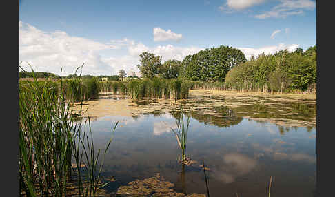 Thüringen (Thuringia)