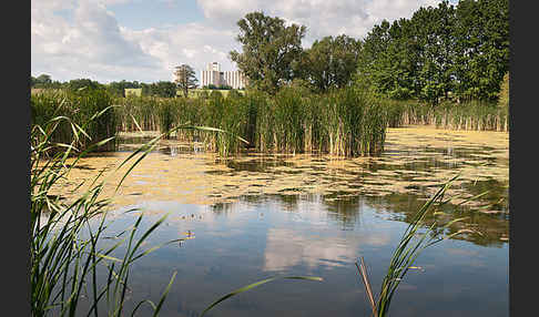 Thüringen (Thuringia)