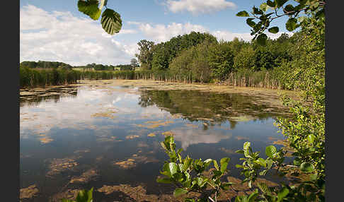 Thüringen (Thuringia)