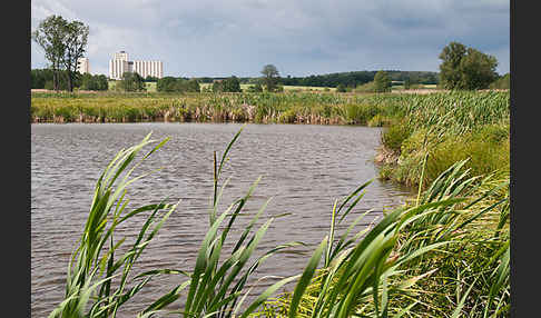 Thüringen (Thuringia)