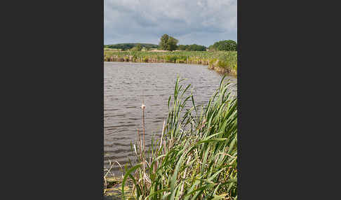 Thüringen (Thuringia)