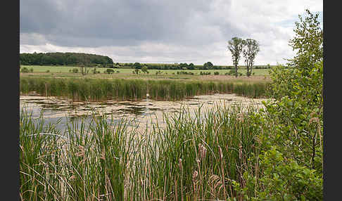 Thüringen (Thuringia)