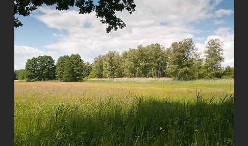 Thüringen (Thuringia)