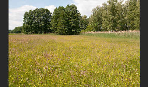 Thüringen (Thuringia)