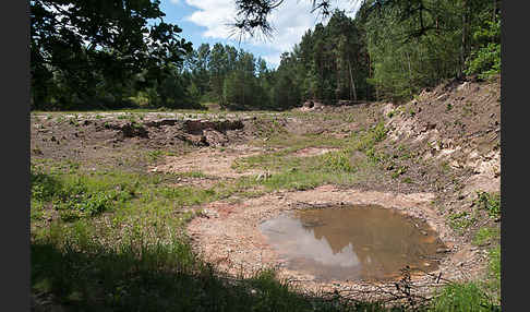 Thüringen (Thuringia)