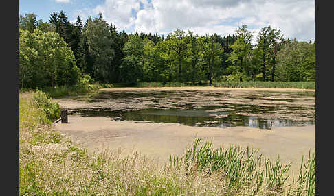 Thüringen (Thuringia)