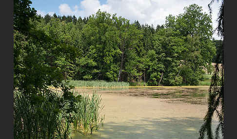 Thüringen (Thuringia)