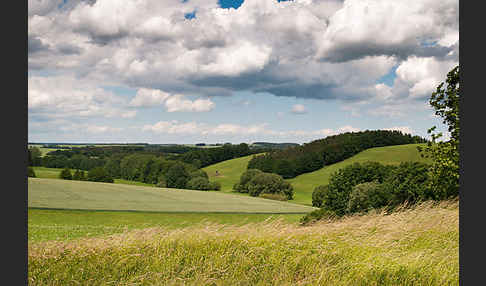 Thüringen (Thuringia)