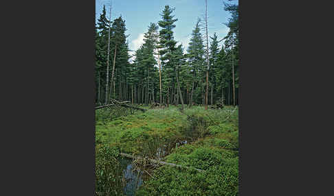 Thüringen (Thuringia)