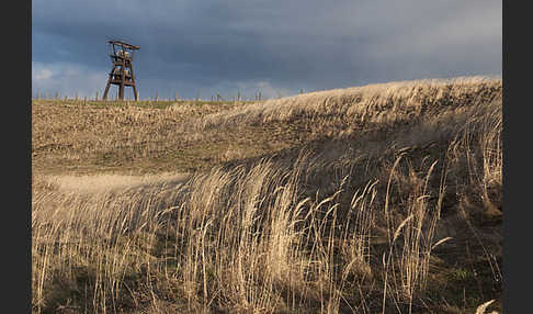 Thüringen (Thuringia)