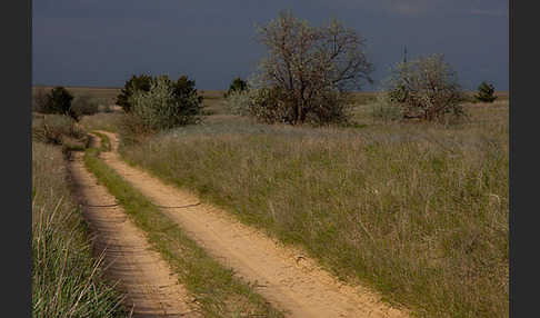 Kasachstan (Kazakhstan)