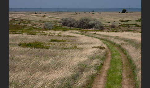 Kasachstan (Kazakhstan)