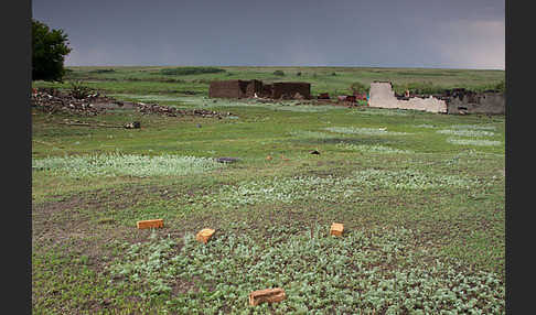 Kasachstan (Kazakhstan)