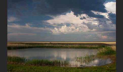 Kasachstan (Kazakhstan)