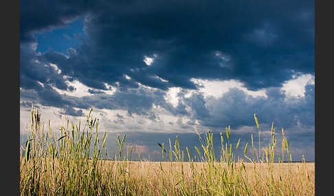 Kasachstan (Kazakhstan)