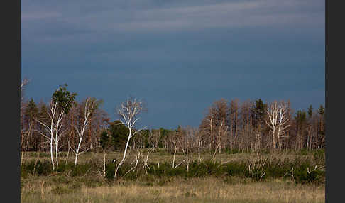 Kasachstan (Kazakhstan)