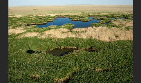 Kasachstan (Kazakhstan)