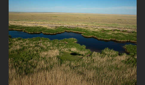 Kasachstan (Kazakhstan)