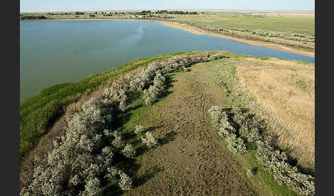 Kasachstan (Kazakhstan)