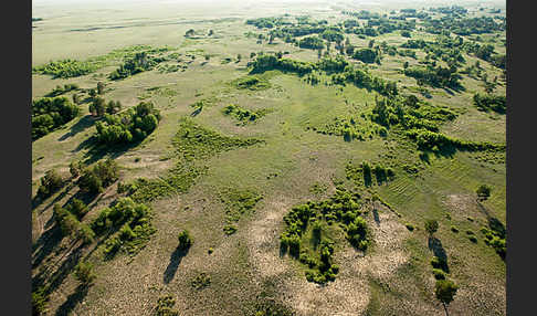 Kasachstan (Kazakhstan)