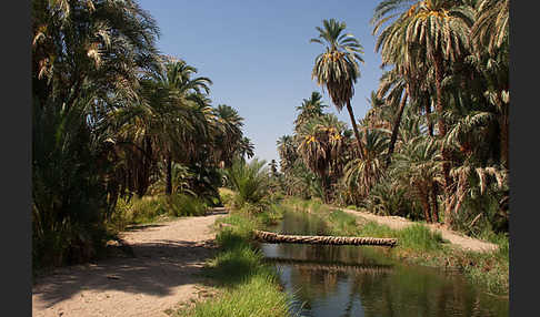 Aegypten (Egypt)