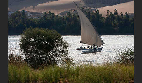 Aegypten (Egypt)