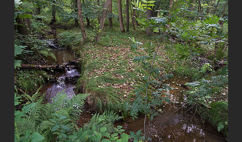 Thüringen (Thuringia)