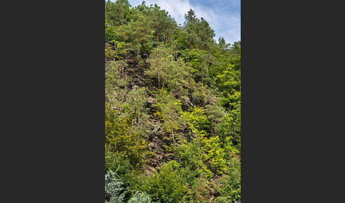 Thüringen (Thuringia)