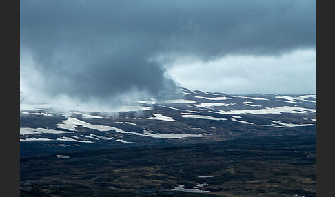 Island (Iceland)