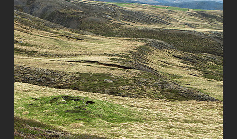 Island (Iceland)