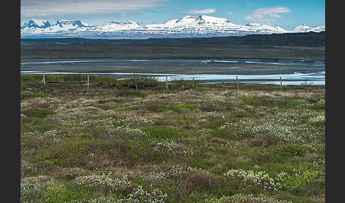 Island (Iceland)