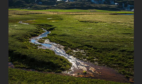 Island (Iceland)